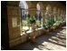 Macintosh HD:Users:martin:Desktop:poppies:Cloisters New York.jpg