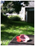 Macintosh HD:Users:martin:Desktop:poppies:Cornwall.jpg